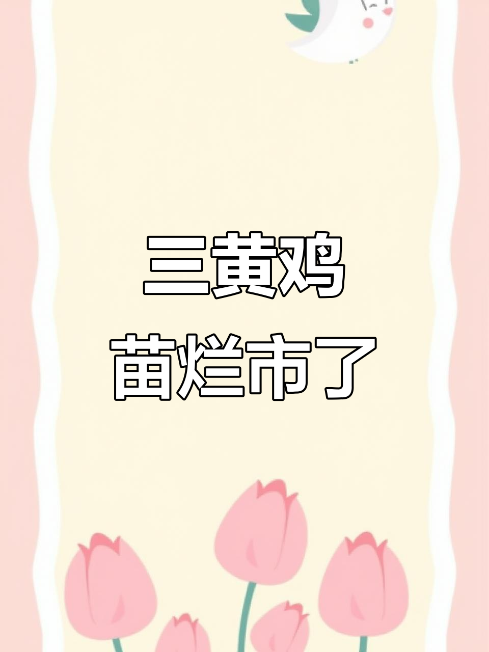 三黄鸡苗市场崩盘,5毛一只没人要,养殖户急寻出路