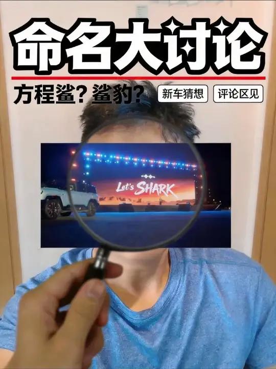 鲨鱼皮卡在国内会叫什么名字呢？#伐柯说车 #伐柯