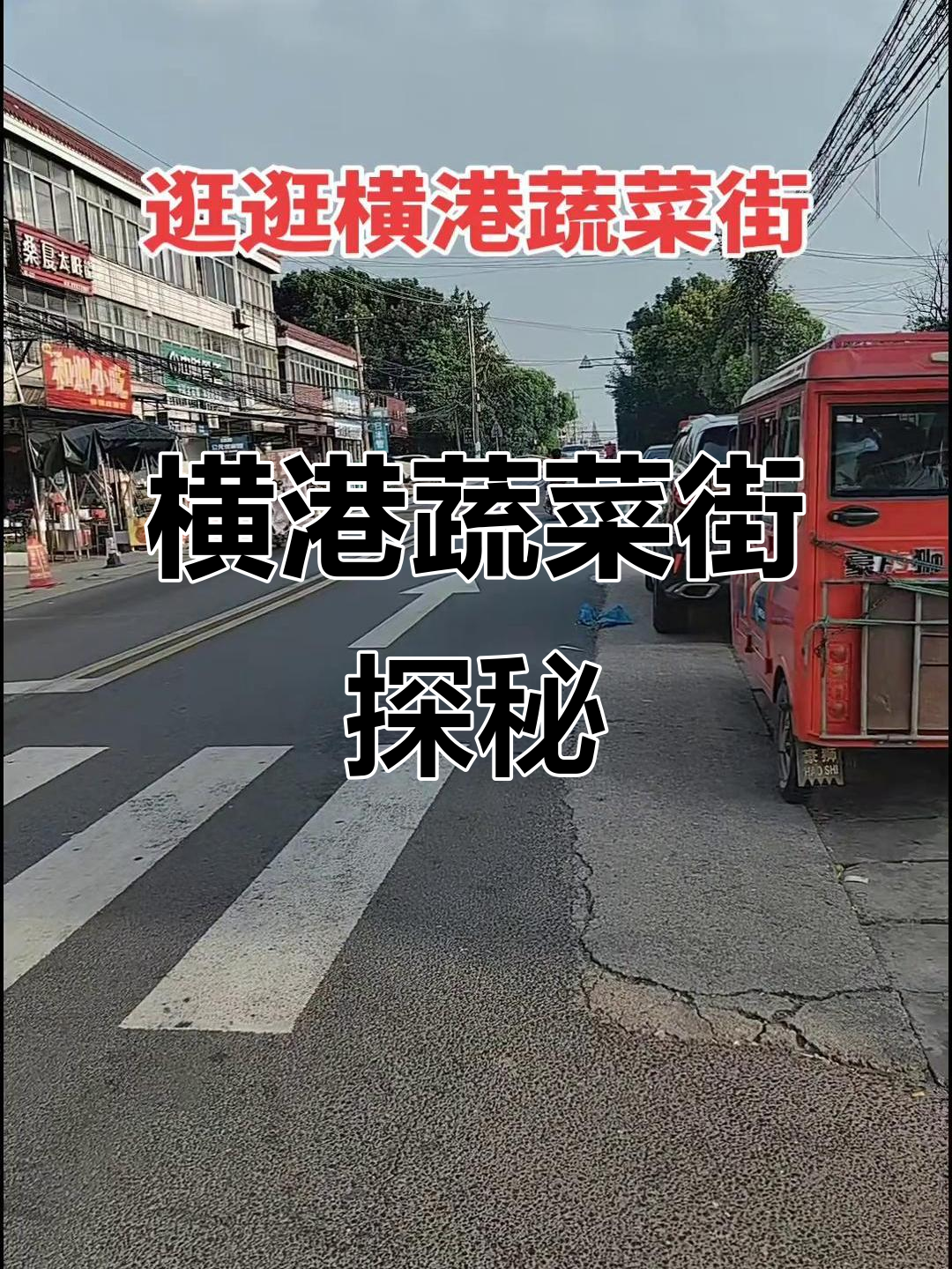南通横港蔬菜街,纯天然绿色食品的乡村味道