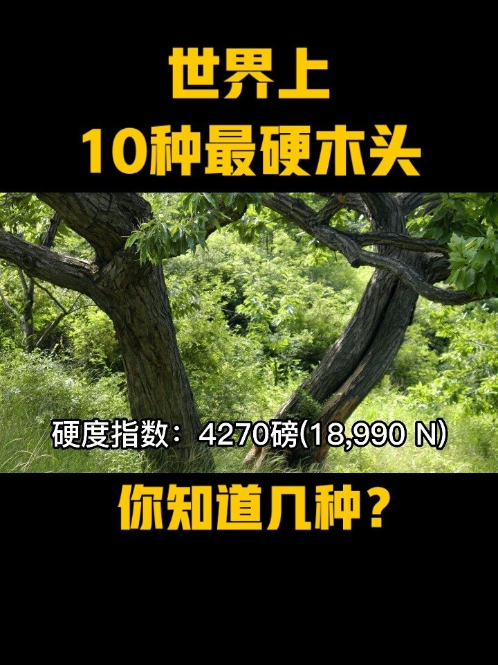 世界上10种最硬木头,你知道几个?