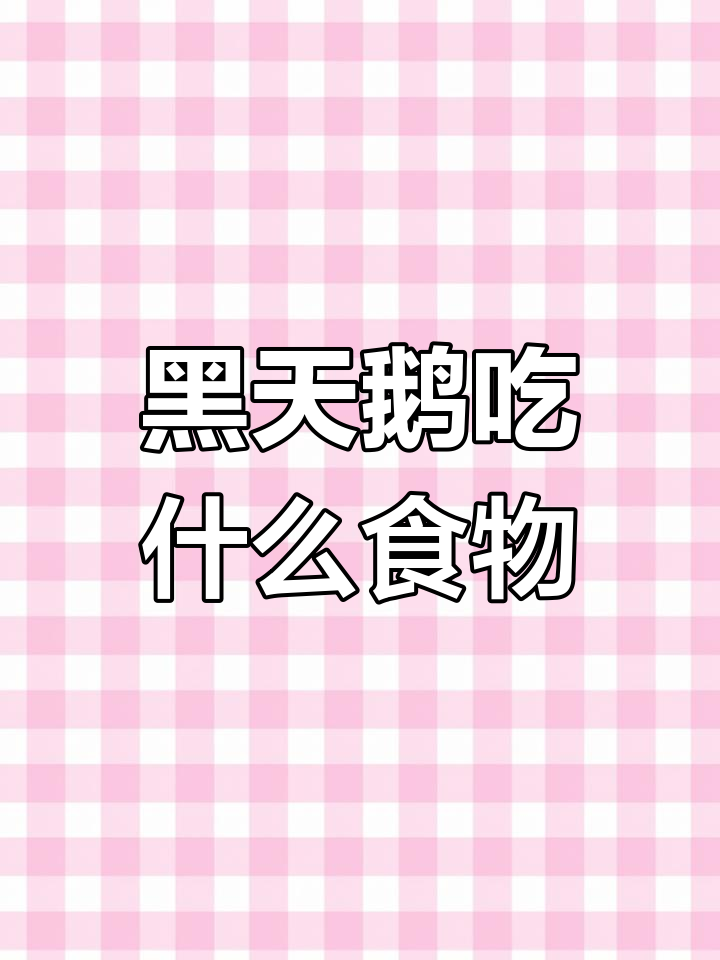 黑天鹅养殖饲料搭配指南