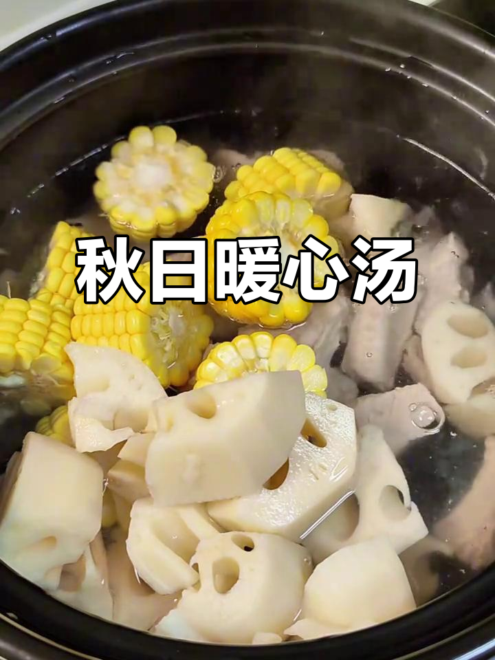 秋季滋补汤,莲藕排骨玉米搭配,营养美味,温暖身心