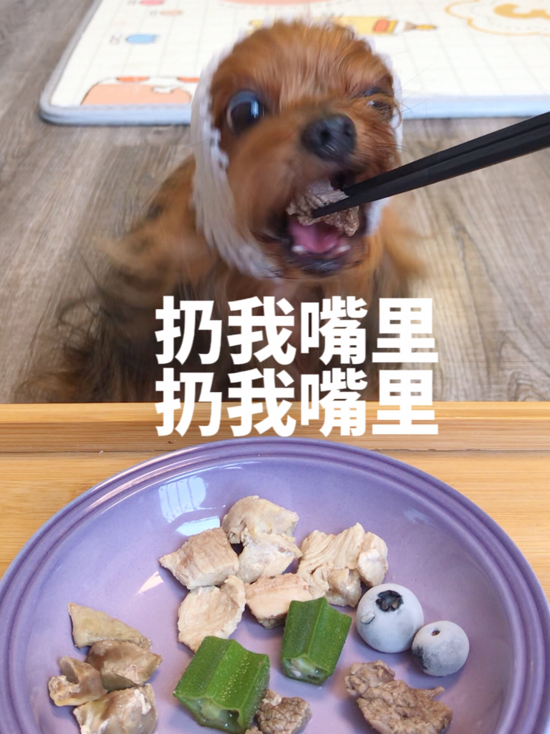 简单吃点火鸡