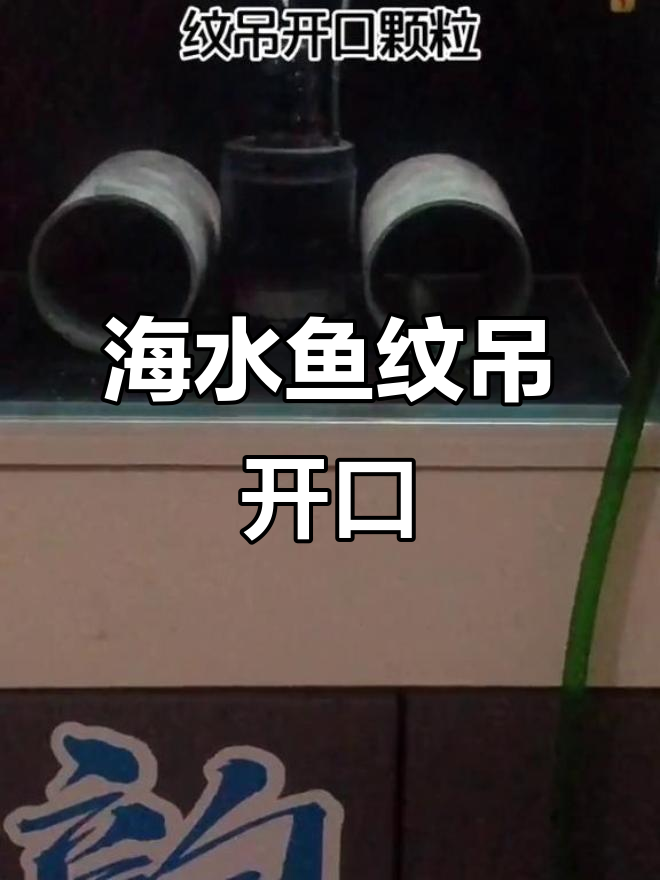 海水鱼纹吊开口,莫斯特颗粒喂食效果显著