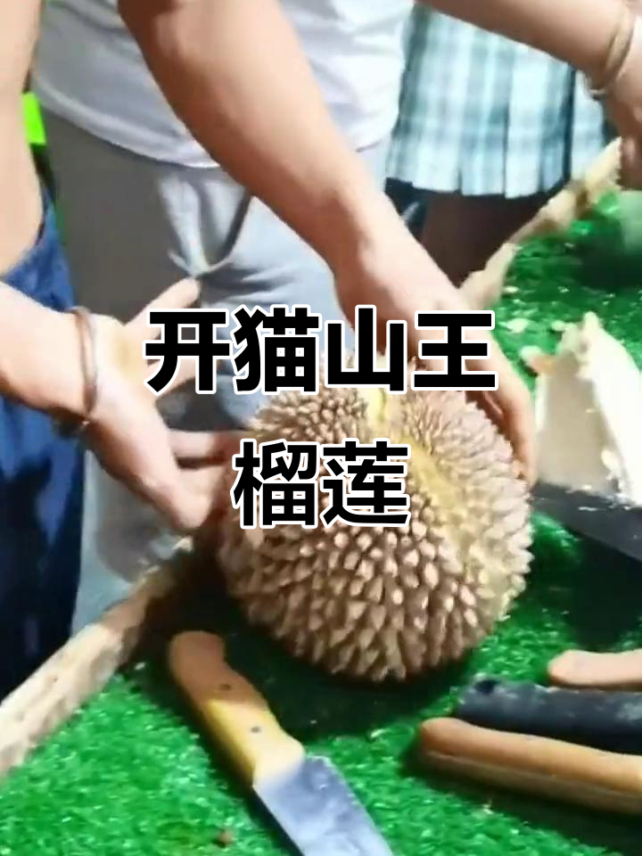 猫山王榴莲开箱,看看这颗值多少钱!