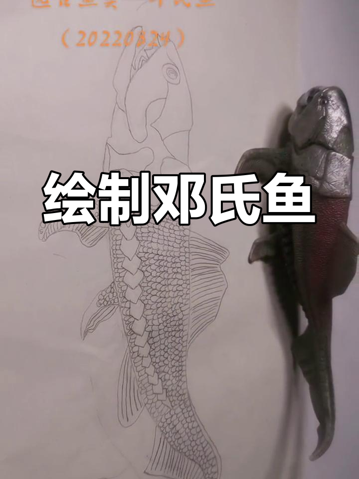 远古海洋霸主:邓氏鱼绘画展示