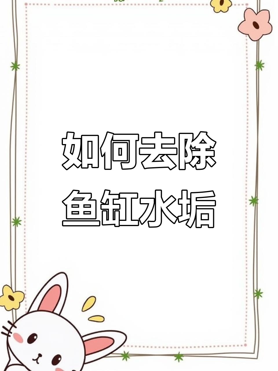 鱼缸水垢清理技巧，轻松刮去顽固污渍