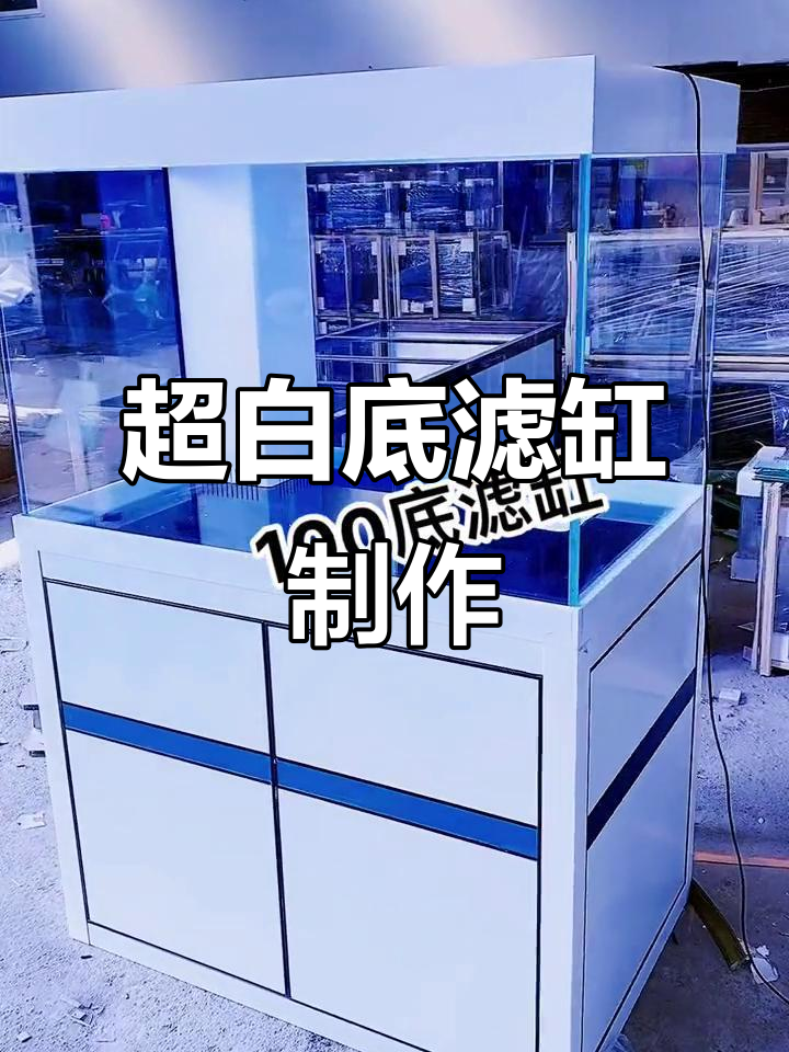 超白底滤缸定制，屏风鱼缸设计大揭秘