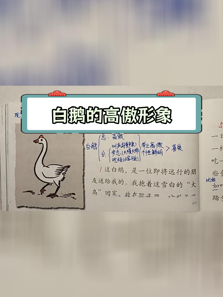 丰子恺笔下的白鹅:高傲与美丽并存