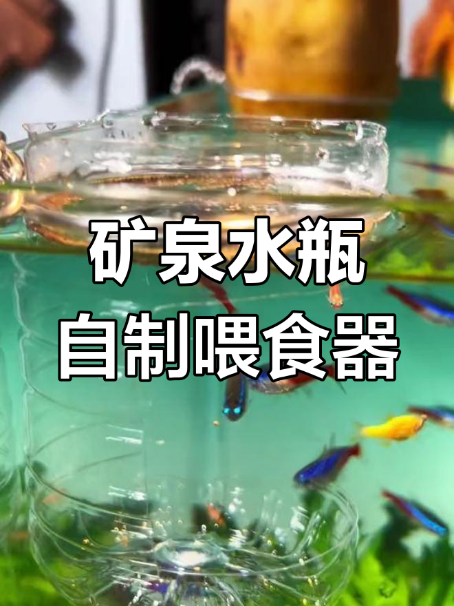 用矿泉水瓶做喂食器,简单又实用