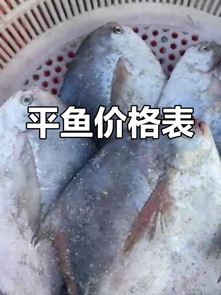 平鱼价格根据重量不同,从85元到10元的都有