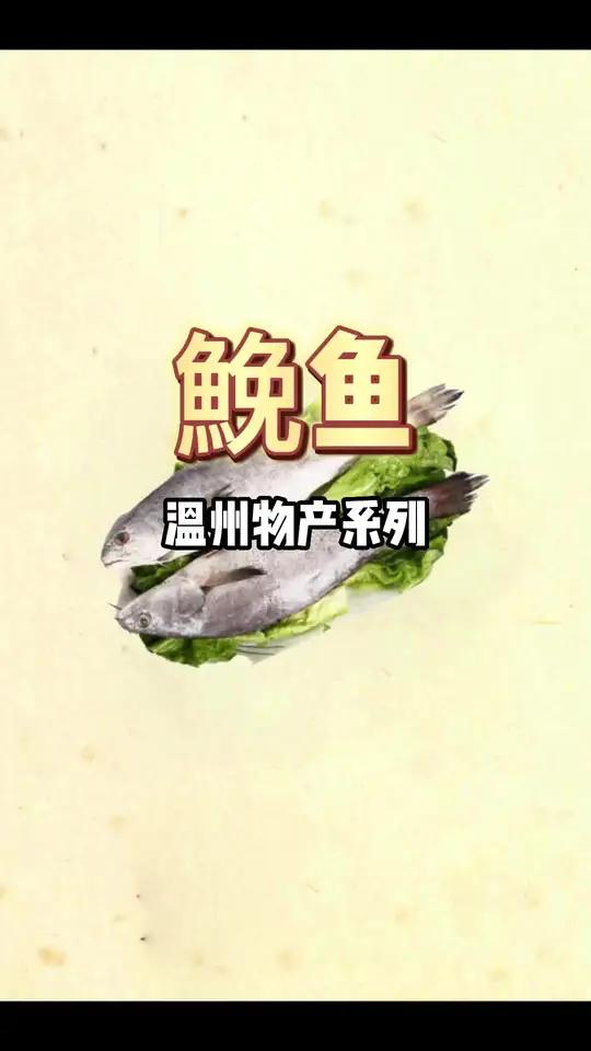 鮸鱼,花样太多了,鱼圆鱼饼敲鱼,所以我已经吃一个月鱼骨鱼头了,哈哈哈,准备下明天50斤上天