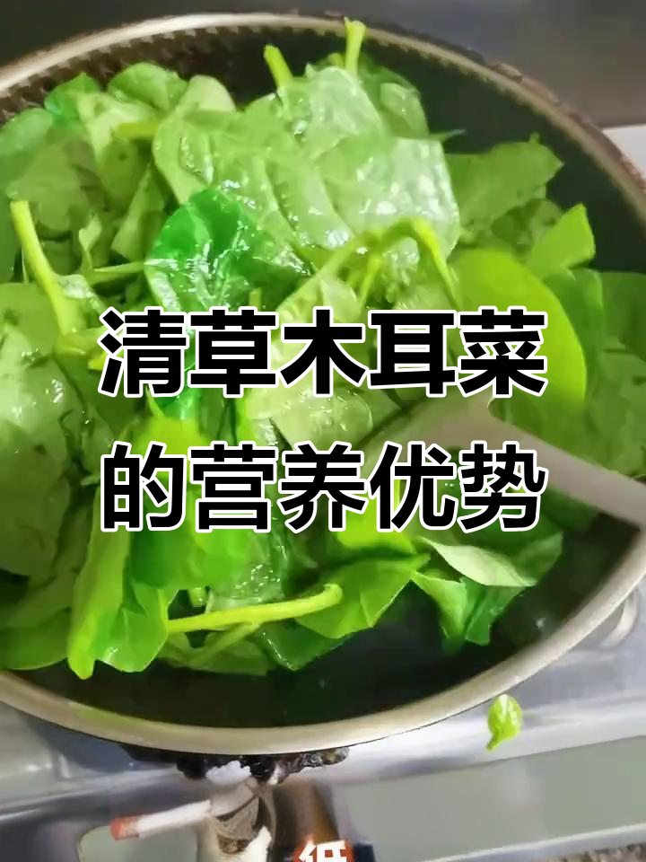 木耳菜的营养价值与健康益处,了解一下