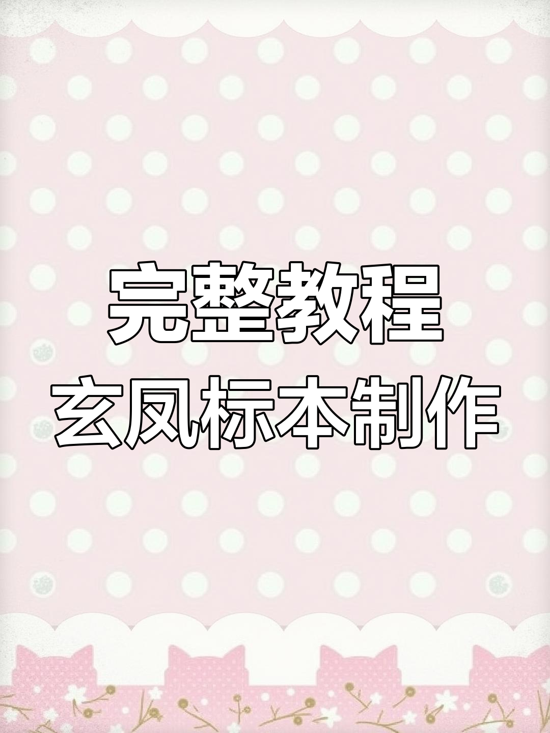 玄凤鹦鹉标本制作全流程,13分钟搞定!