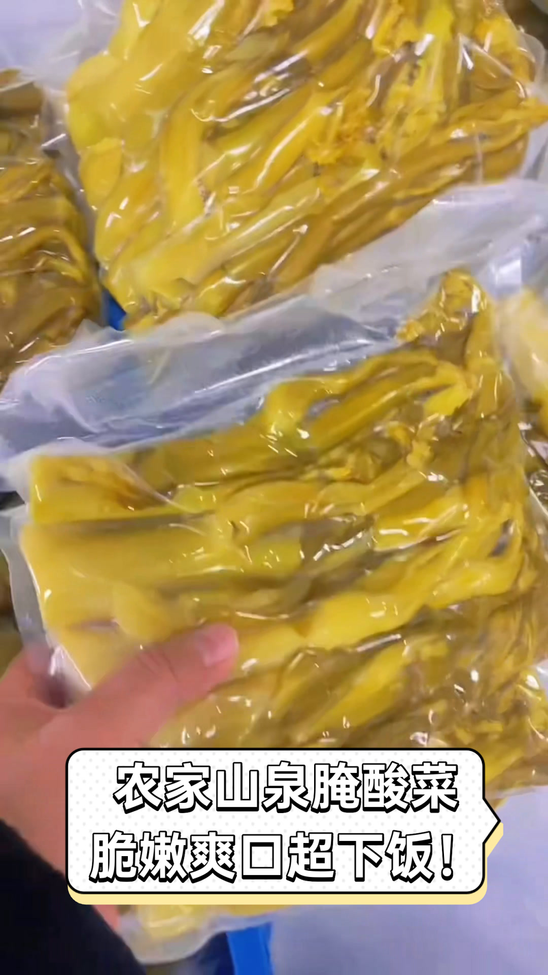 农家山泉腌酸菜,脆嫩爽口超下饭!