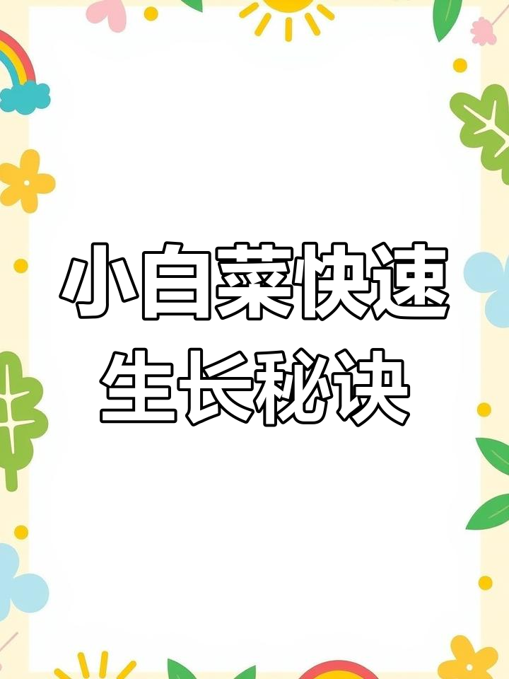 夏季小白菜种植技巧,轻松防虫保健康