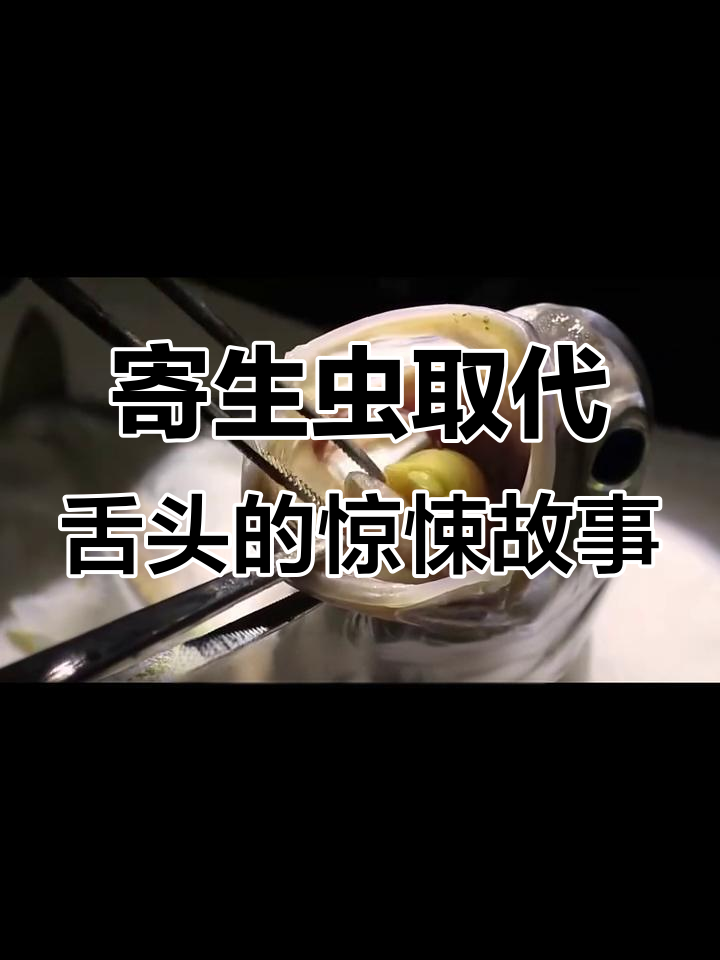 缩头鱼虱:切断舌头、霸占口腔,竟成新“主人”