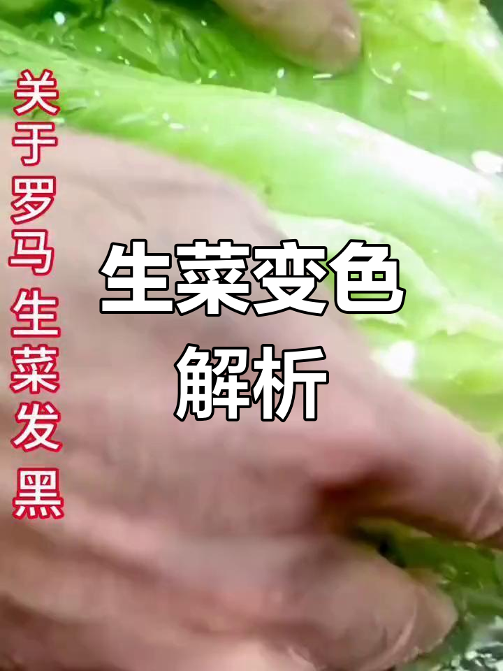 罗马生菜变黑是正常氧化,放心食用!