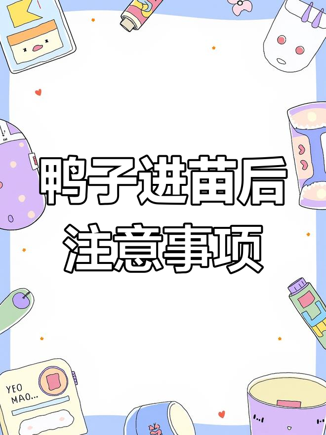 鸭苗温度与开料技巧,冬季保暖必知要点