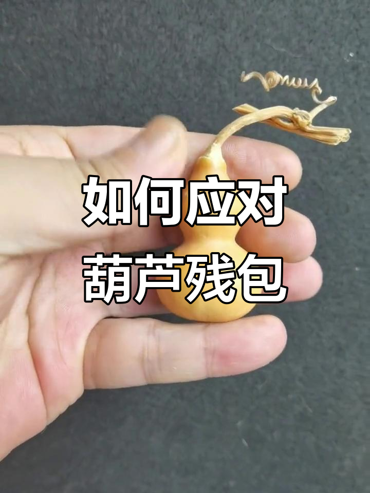 葫芦疙瘩形成原因及处理技巧