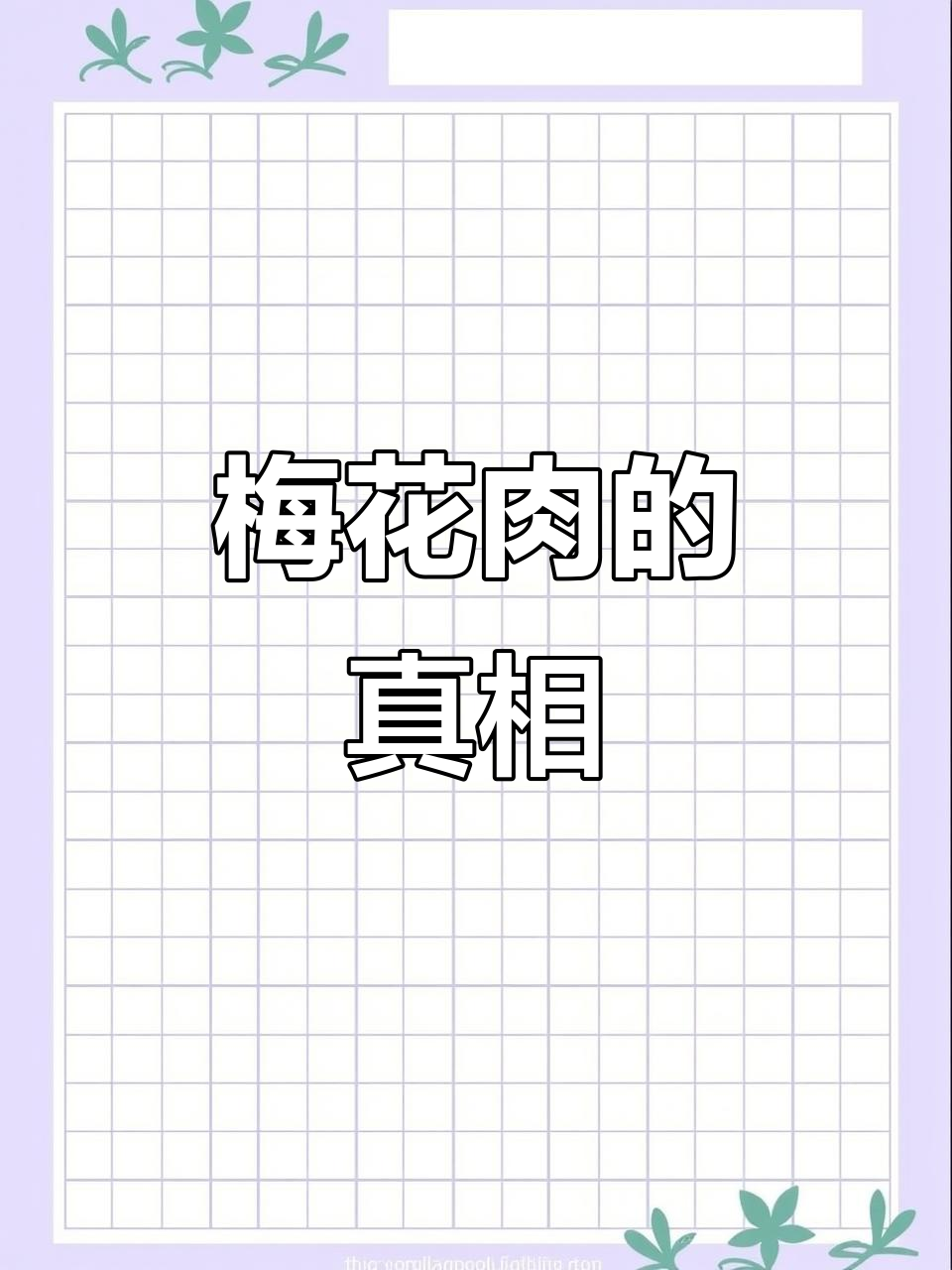 梅花肉到底好不好?看完这视频你就懂了