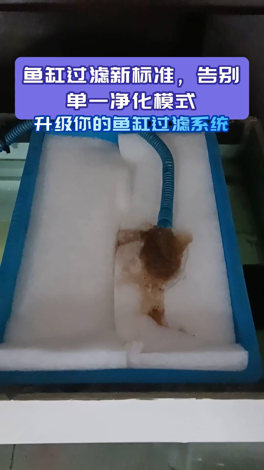 鱼缸过滤新标准告别单一净化模式