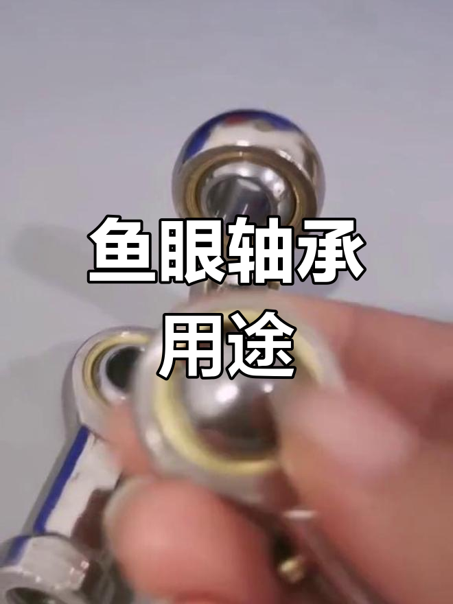 鱼眼轴承的应用与结构解析