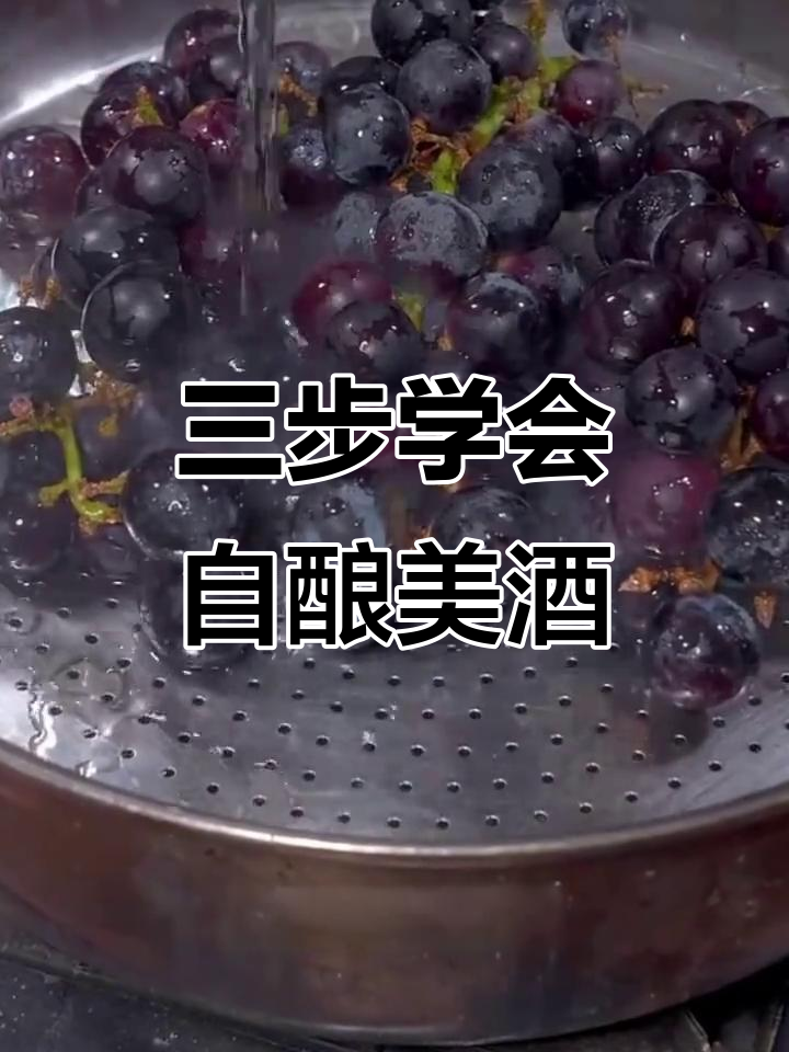 酿葡萄酒的三大关键步骤,轻松做出美味果酒