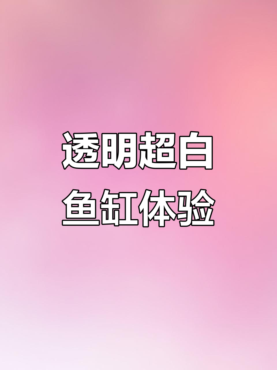 超白鱼缸入手,小鱼入水瞬间太美了