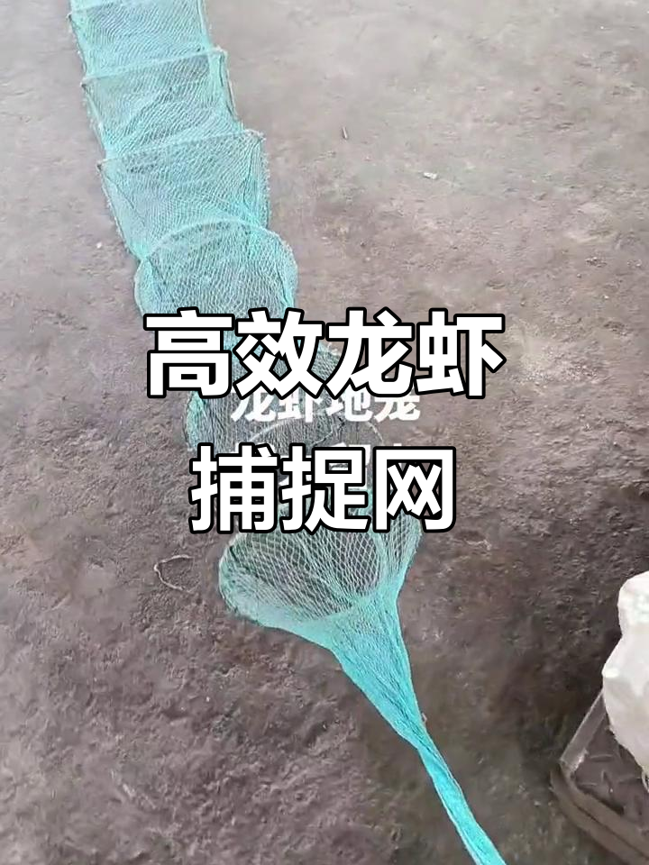 广西渔民必备!十米龙虾地笼,捕捞更高效