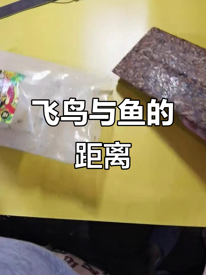 火车上的情侣与寂寞的歌声,距离像飞鸟和鱼