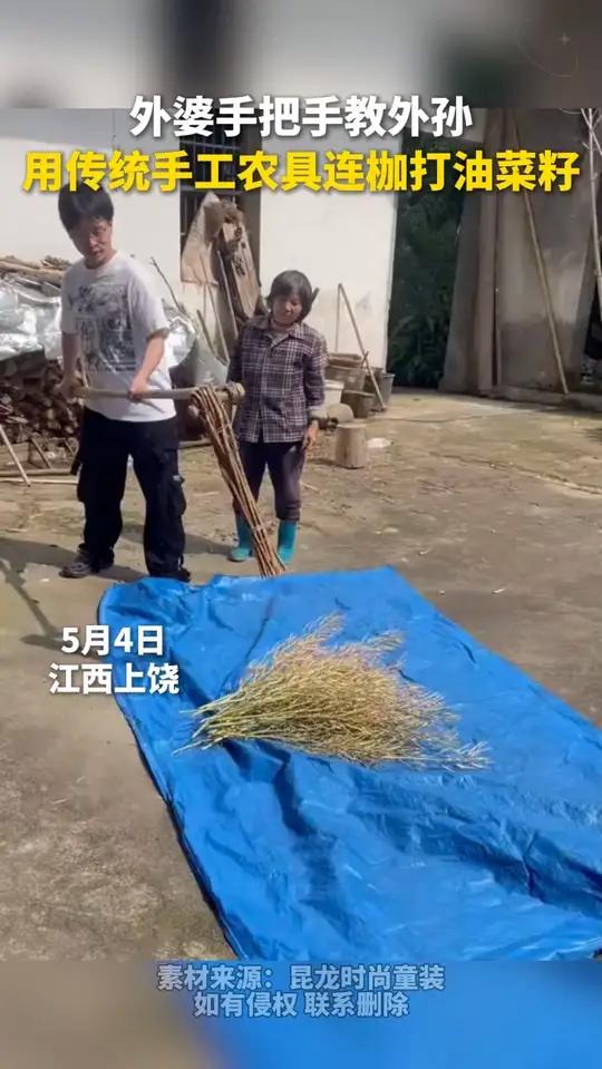 你见过打油菜籽吗？外婆手把手教外孙，用传统手工农具连枷打油菜籽。这一起一落的动作里，藏着农