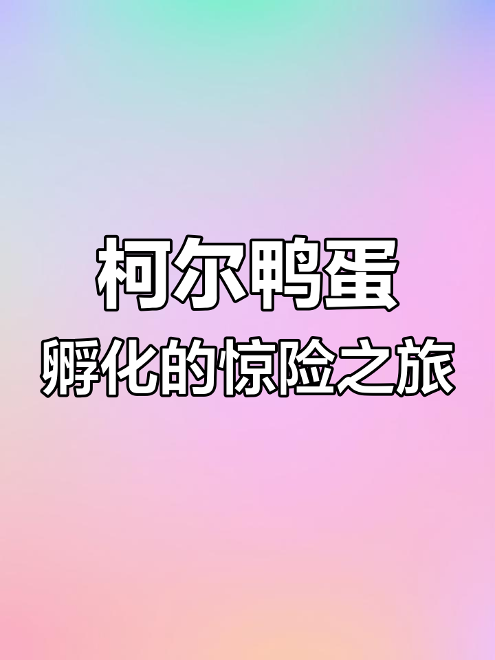 科尔鸭蛋孵化全程揭秘,母鸡爆窝意外破壳