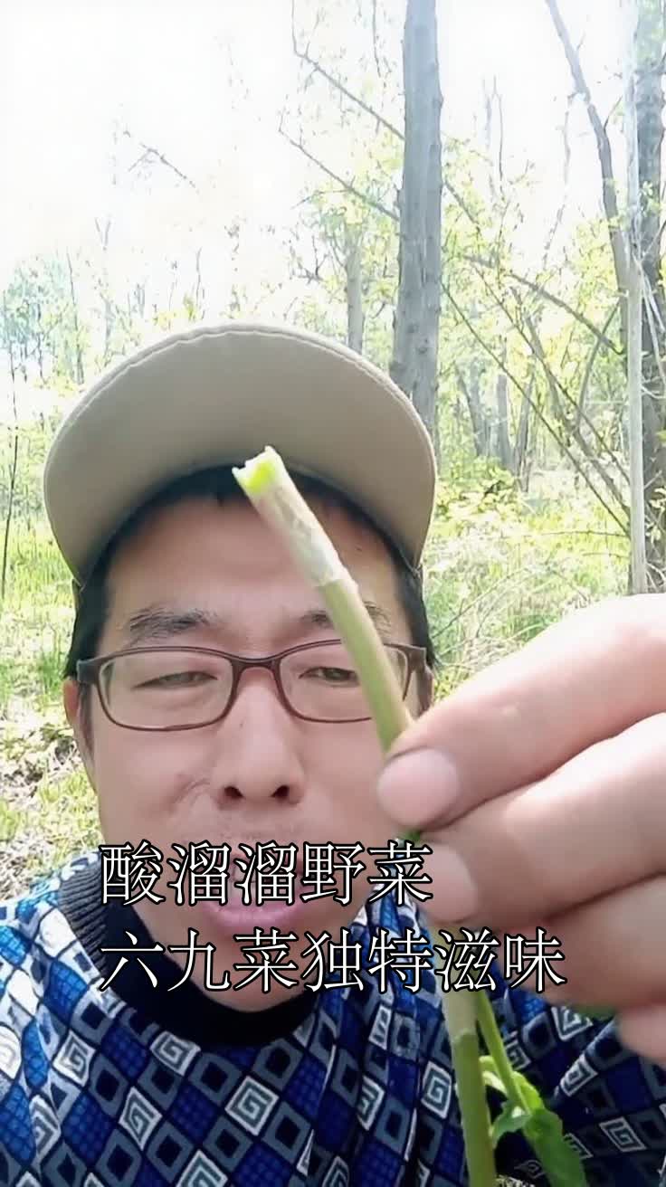 酸溜溜野菜六九菜独特滋味