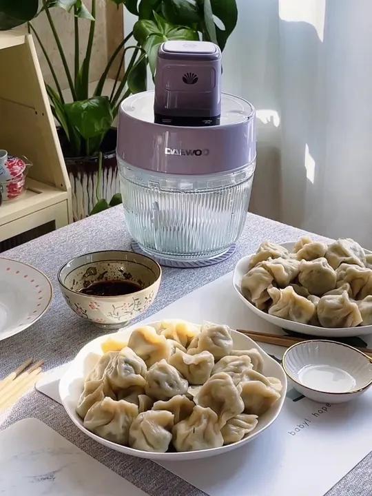 有了它厨房小白冬至在家也能吃上热呼呼的饺子#厨房好物分享大宇和面绞肉机冬至吃饺子冬至饺子