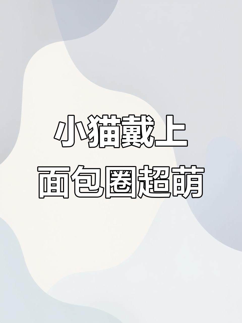 猫咪戴上这个“面包圈”太可爱了,表情包满分!