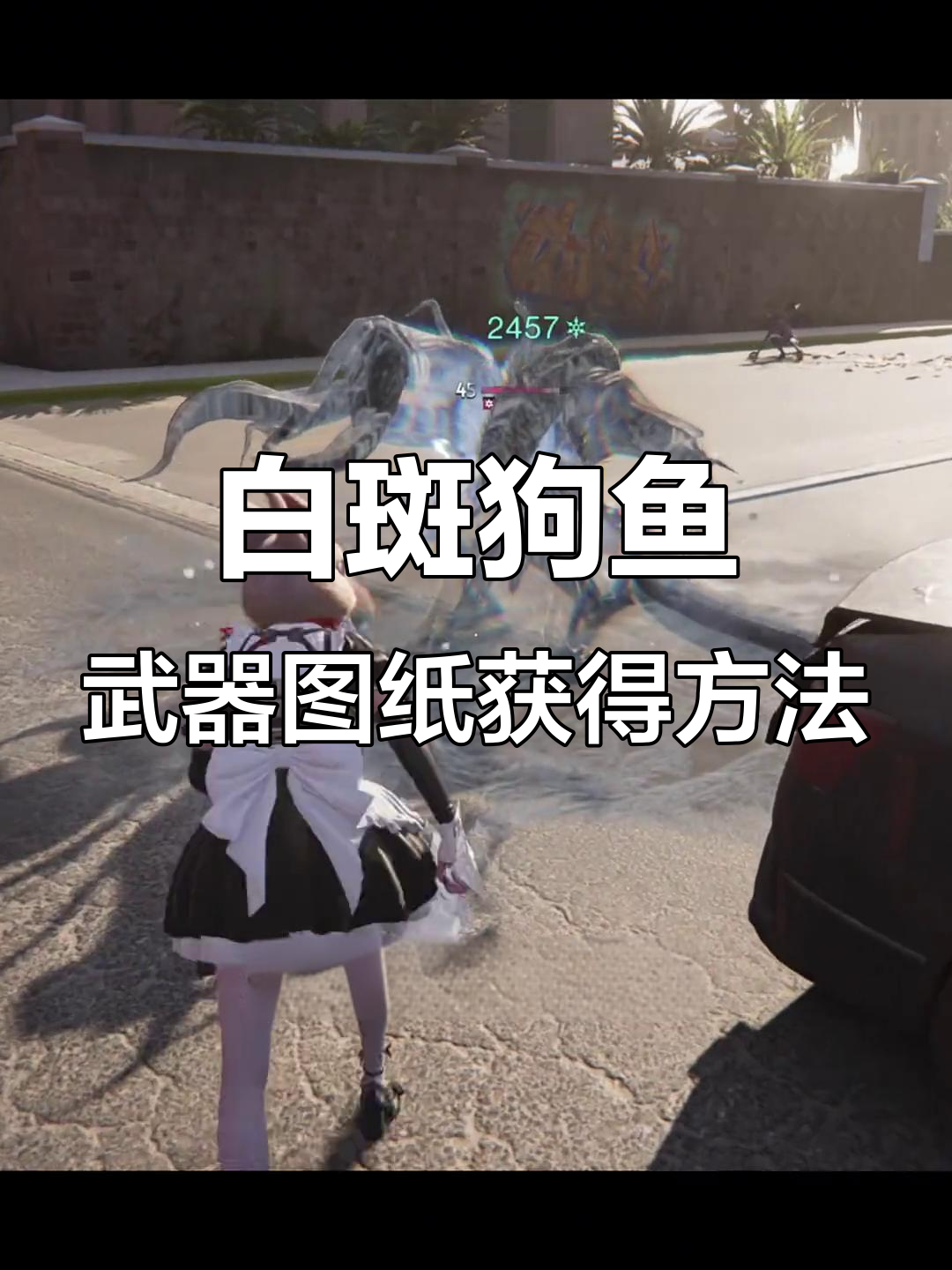 白斑狗鱼近战武器图纸获取攻略，钓鱼点位置揭秘