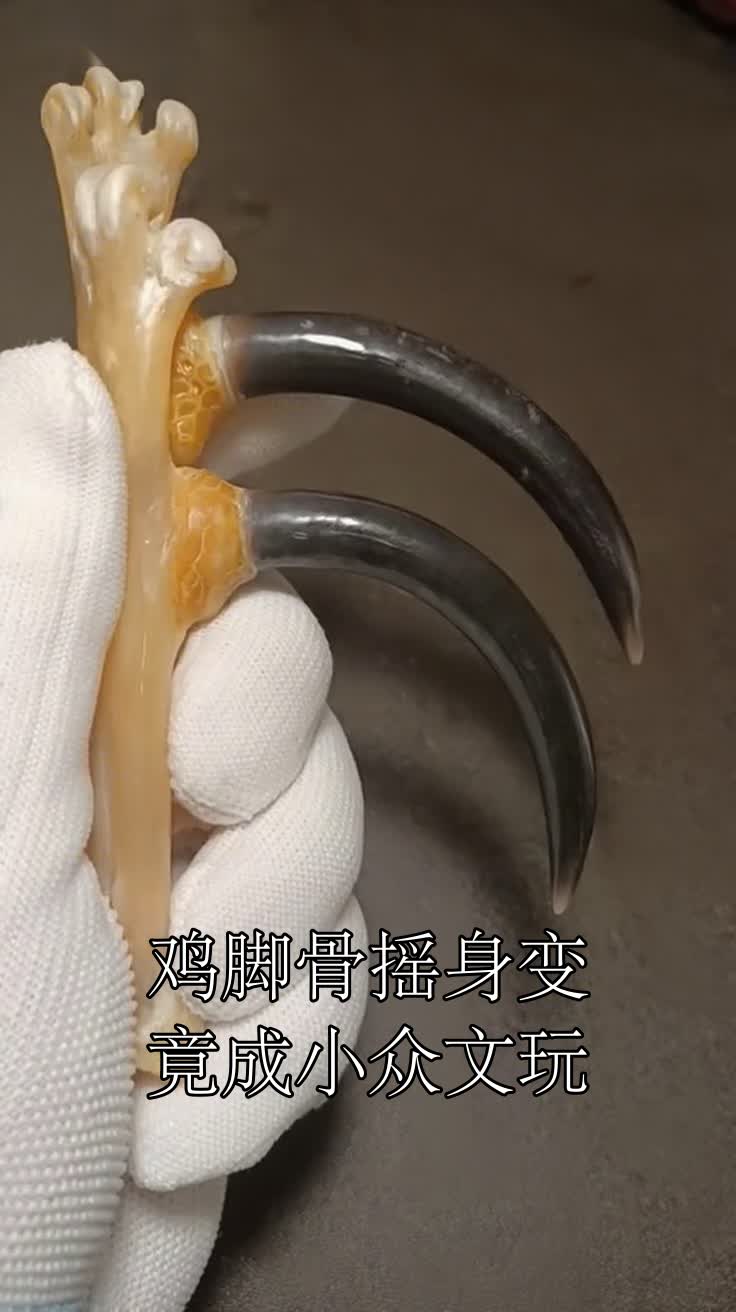 鸡脚骨摇身变竟成小众文玩