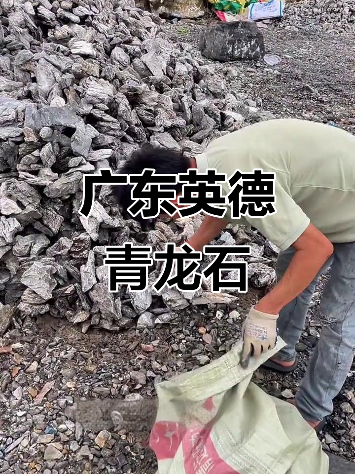 广东英德青龙石,假山摆件与水族箱造景的理想选择