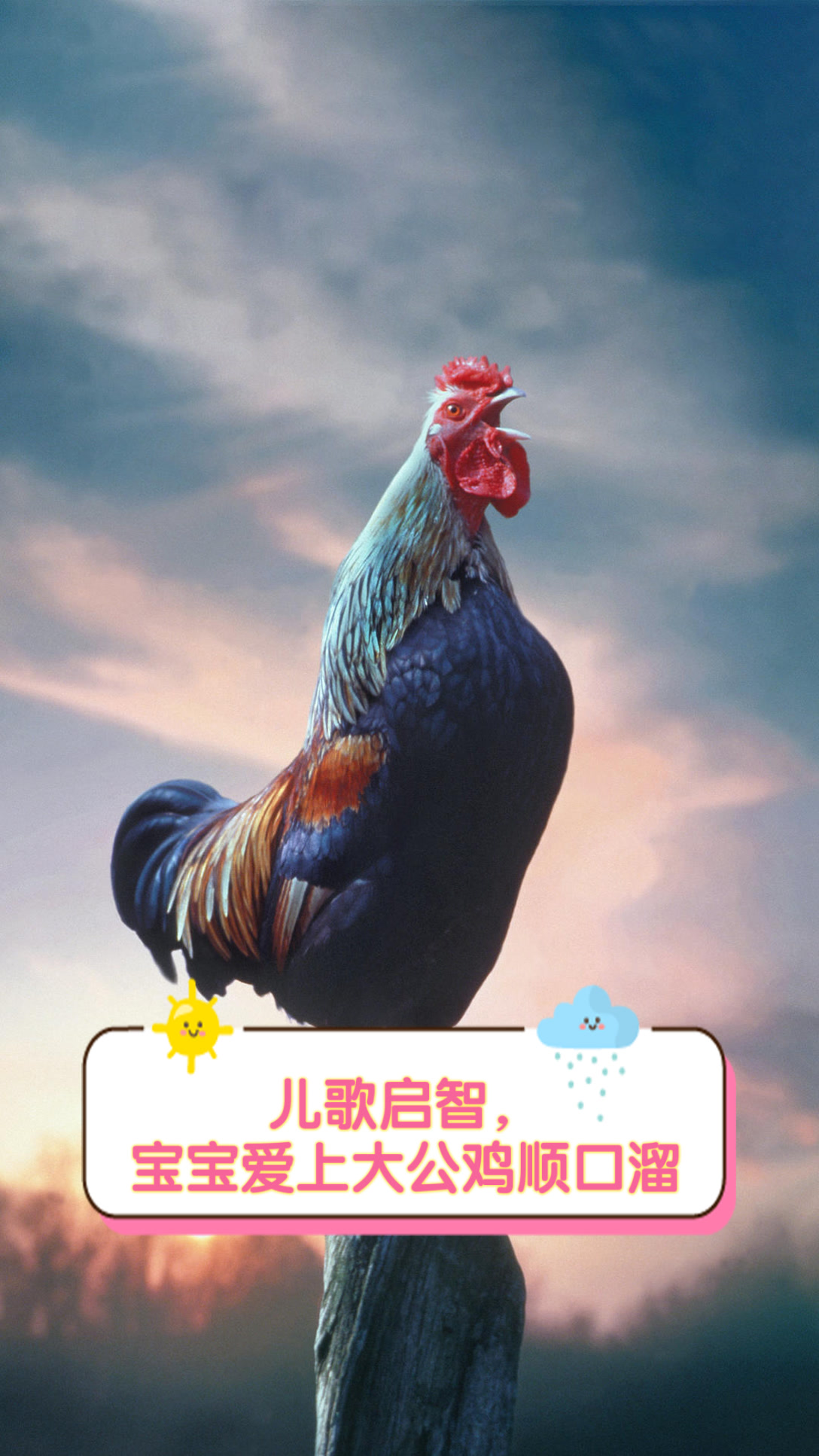 儿歌启智,宝宝爱上大公鸡顺口溜