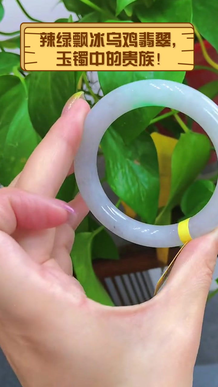 辣绿飘冰乌鸡翡翠,玉镯中的贵族!