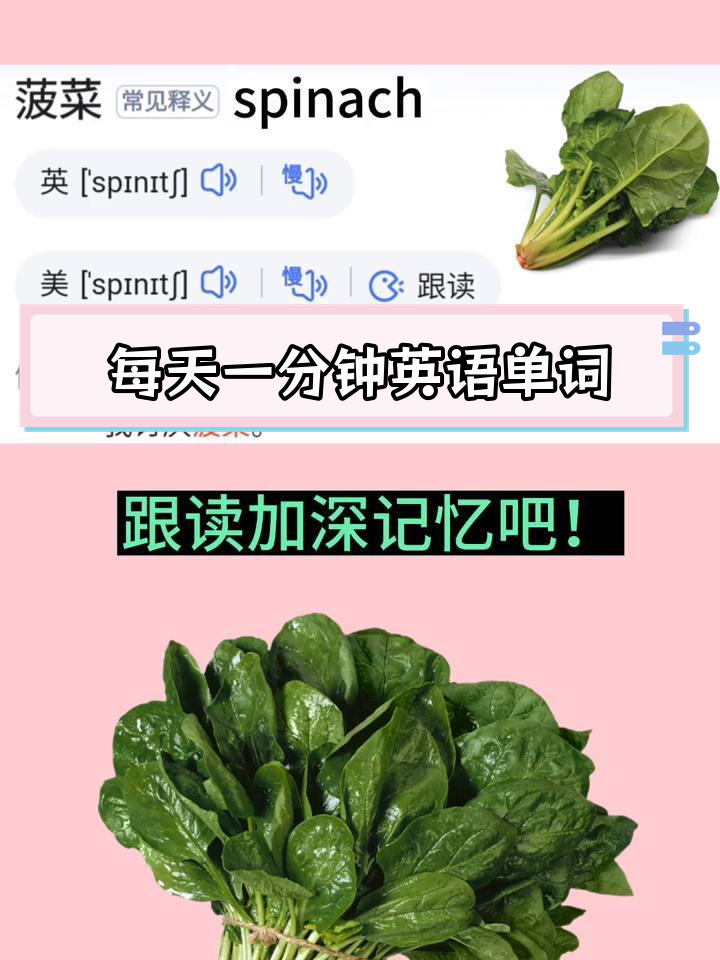 一分钟挑战背单词,菠菜汤也能学英语