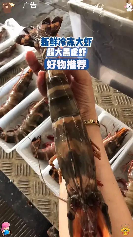 「超大黑虎虾」新鲜冷冻大虾 肉质鲜嫩 老虎虾 年货冬日火锅食材