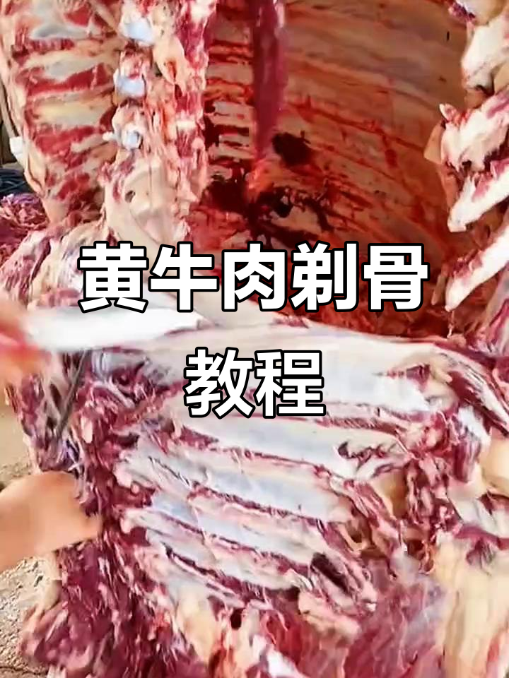 新鲜黄牛肉剔骨技巧大揭秘，轻松去骨留肉
