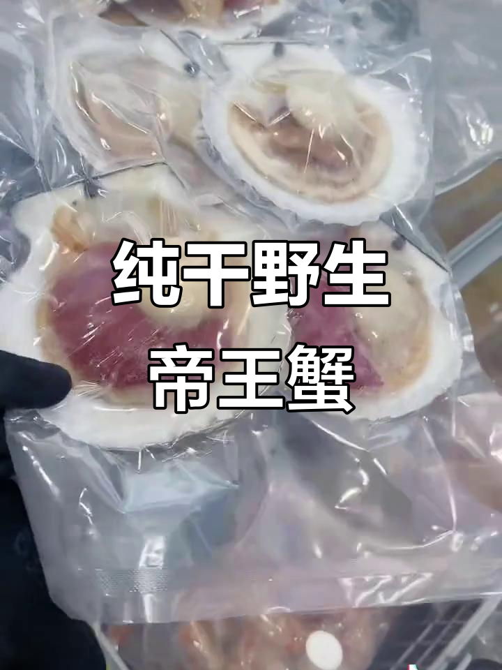 俄罗斯野生帝王蟹与鲽鱼头,鲜美无比的半贝壳扇贝肉