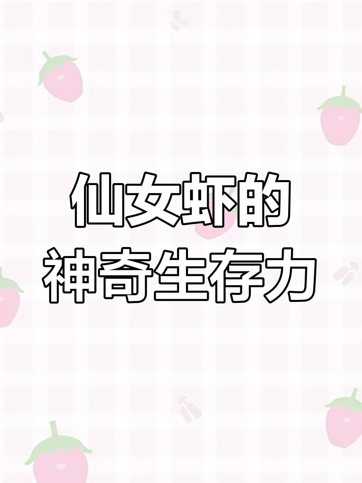仙女虾:美丽又神秘的古老生物,竟能忍受高温与极寒