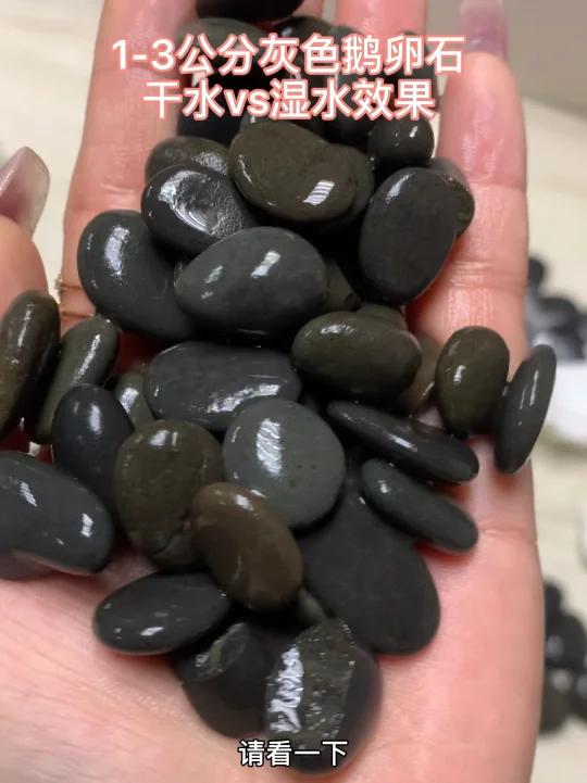 1-3公分灰色鹅卵石干水vs湿水效果