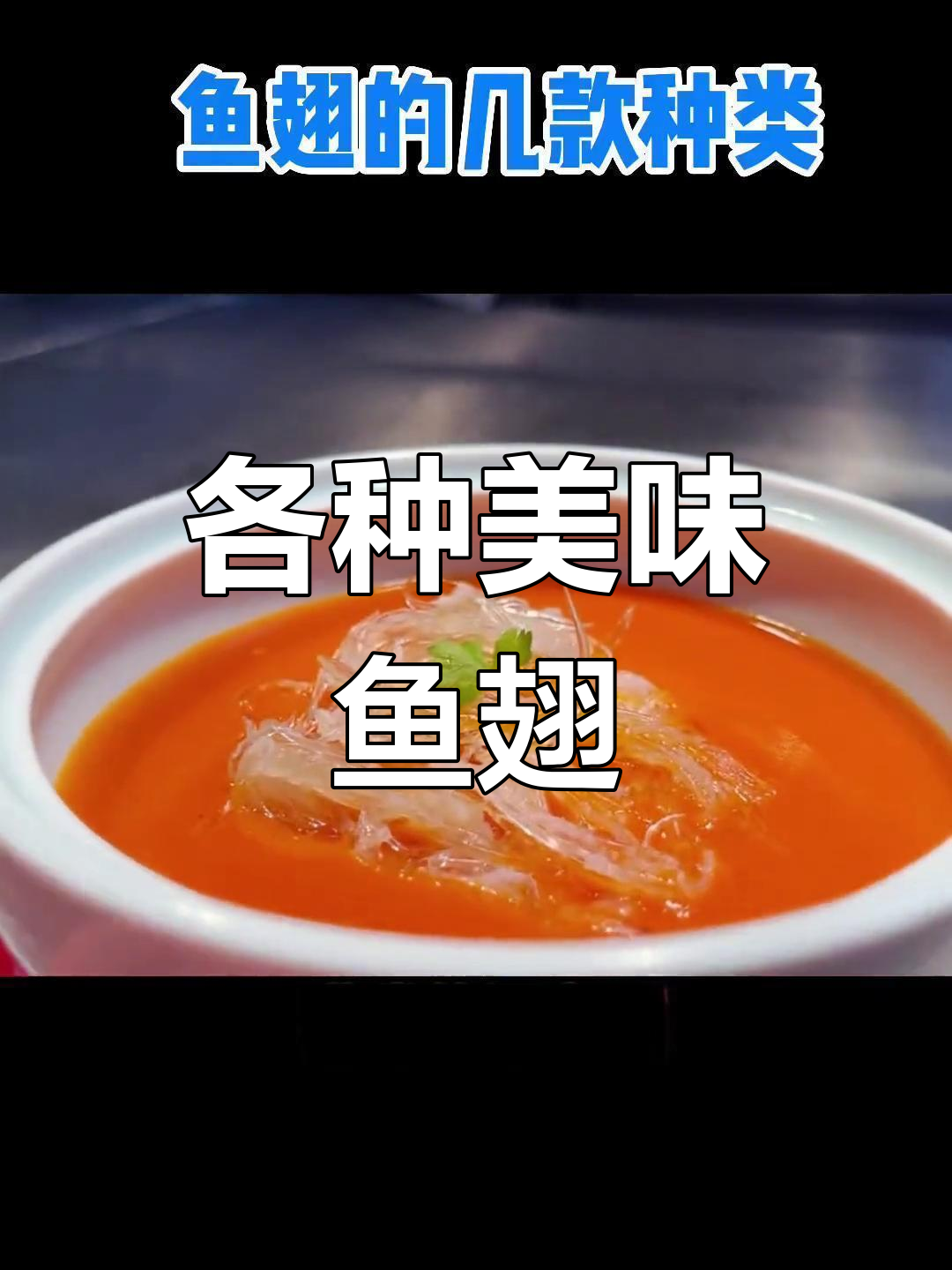 鱼翅种类大揭秘,浓汤虾汤任你选