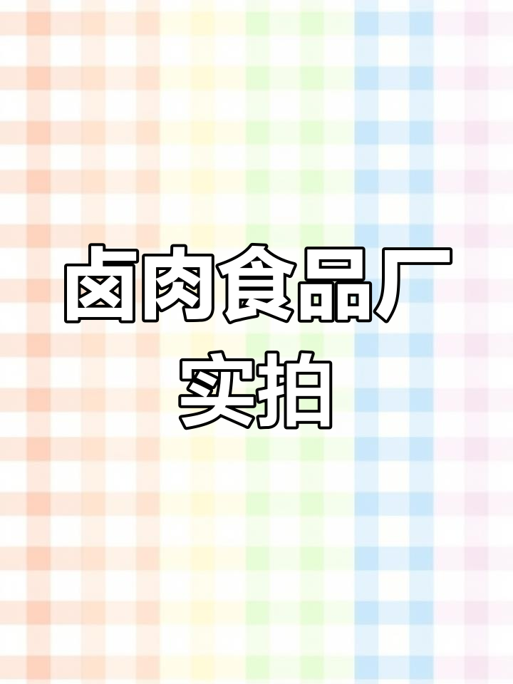 卤肉食品厂全流程揭秘:设计、施工与设备一体化