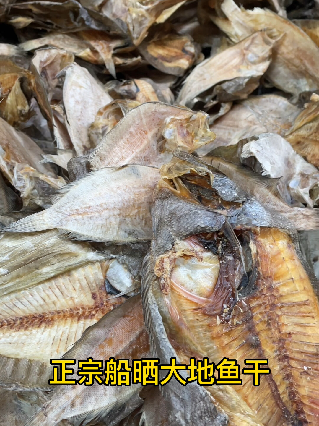 汕尾特产——大地鱼(铁脯)